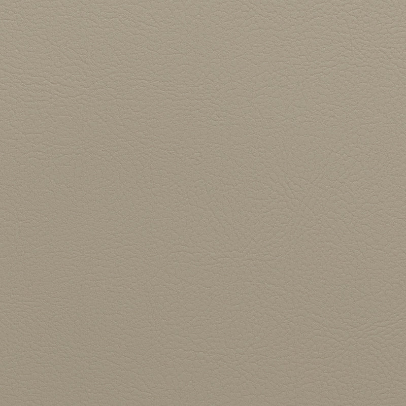 Synthetic Leather Fabric | TCH | Ivory Beige