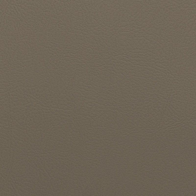 Synthetic Leather Fabric | TCH | Taupe Beige