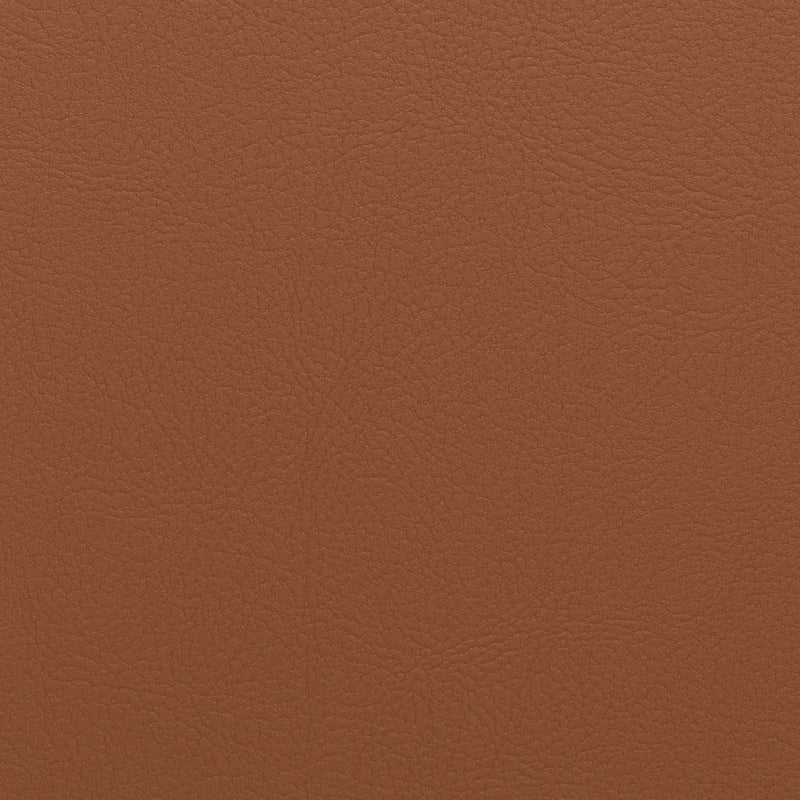 Synthetic Leather Fabric | TCH | Camel