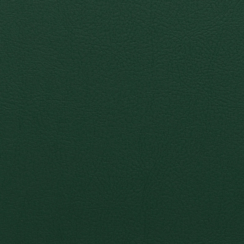 Synthetic Leather Fabric | TCH | Dark Green