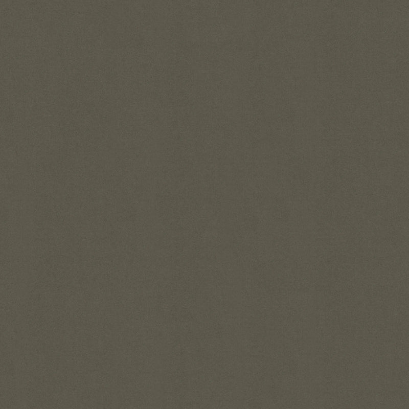 Velvet Upholstery Fabric – Pet Friendly | SINO | Sand Gray