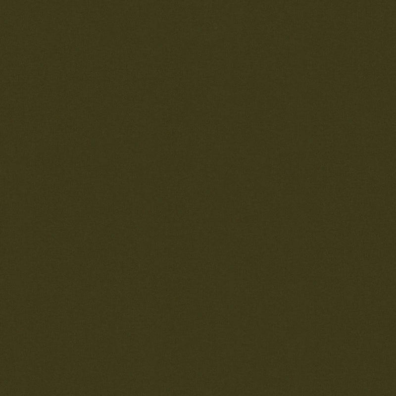 Velvet Upholstery Fabric – Pet Friendly | SINO | Olive Green